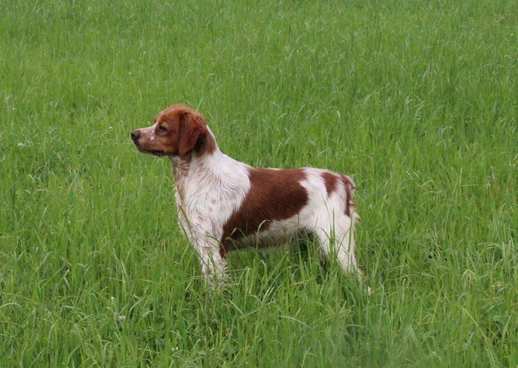 Rixie De la plaine marat